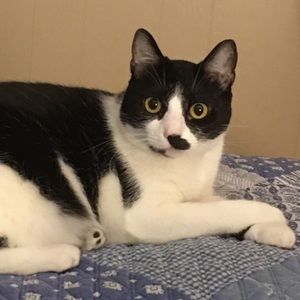 Meet your Posher, Glenda